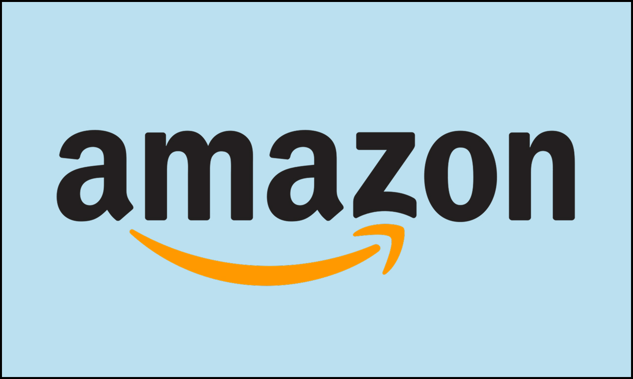 Amazon India – Best for Brands and Long-Term Scale